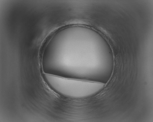 X0000074231408200608250804