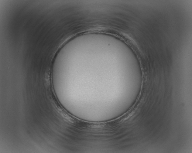 X0000074231409200608250804