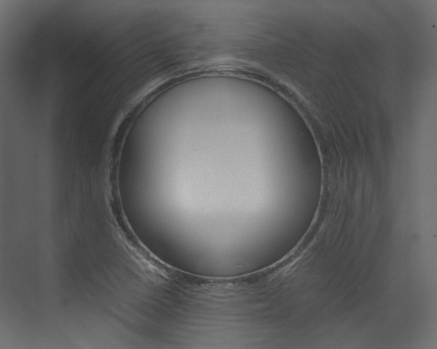 X0000074231410200608250804