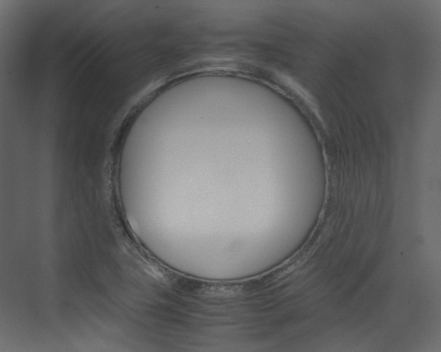 X0000074231411200608250804