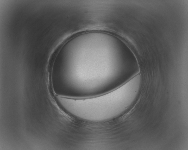 X0000074231414200608250804
