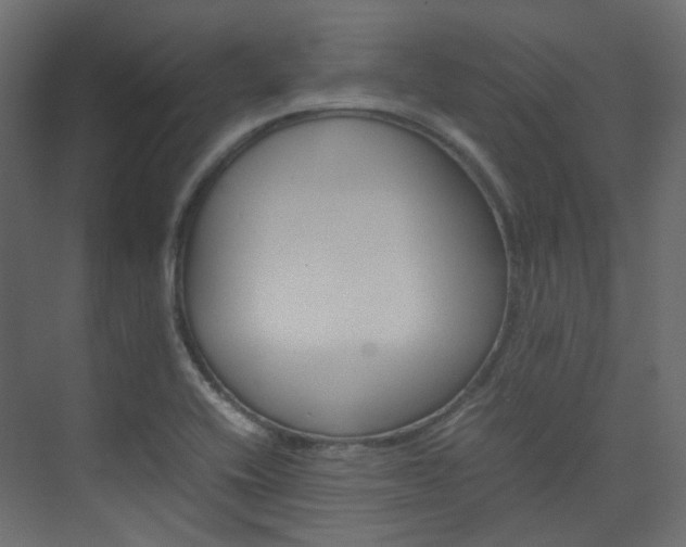 X0000074231416200608250804