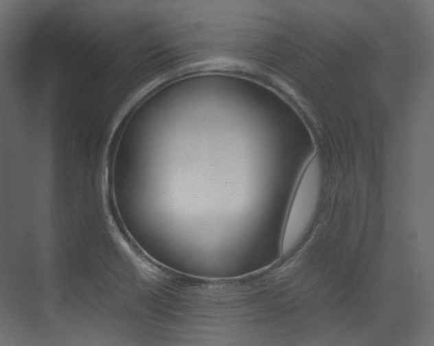 X0000074231418200608250804