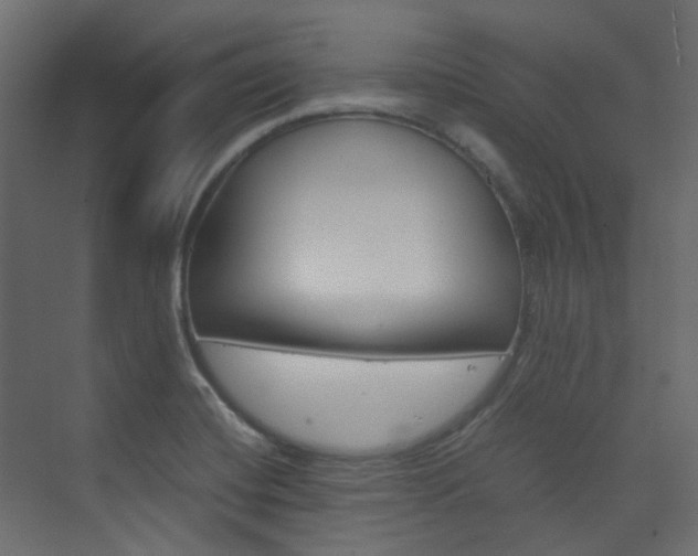X0000074231420200608250804