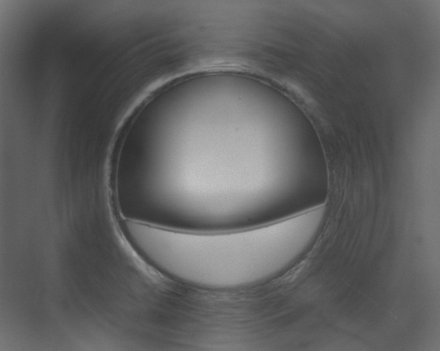 X0000074231422200608250805