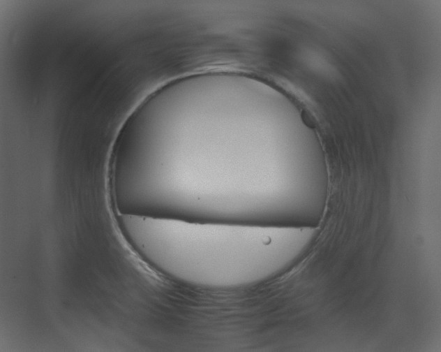 X0000074231423200608250805