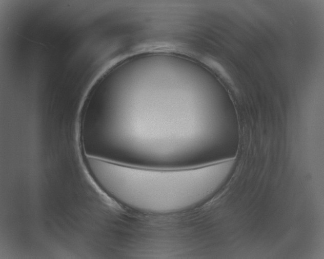 X0000074231424200608250805