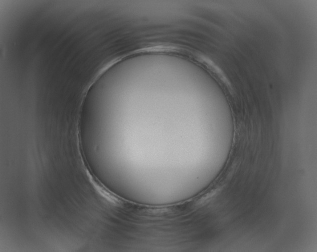 X0000074231425200608250805