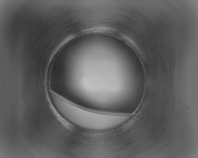 X0000074231426200608250805