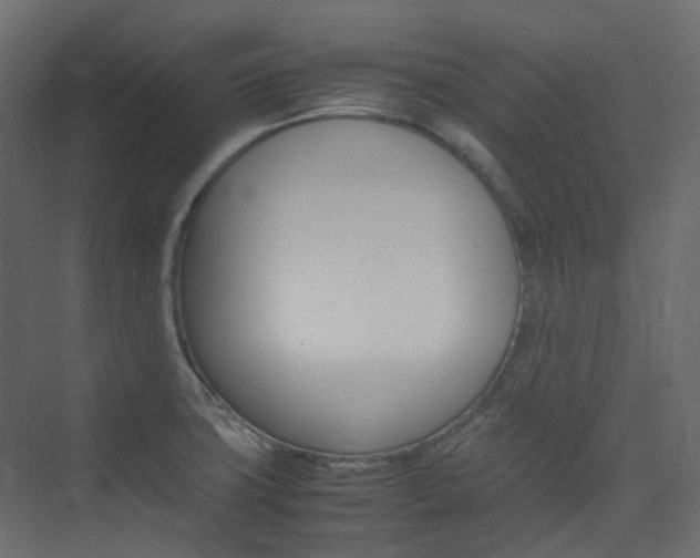 X0000074231427200608250805