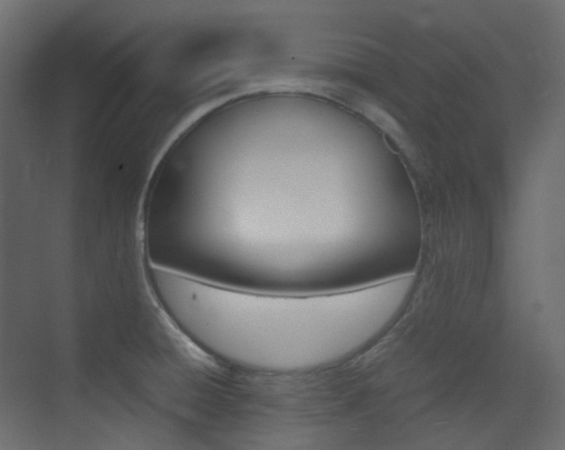 X0000074231428200608250805