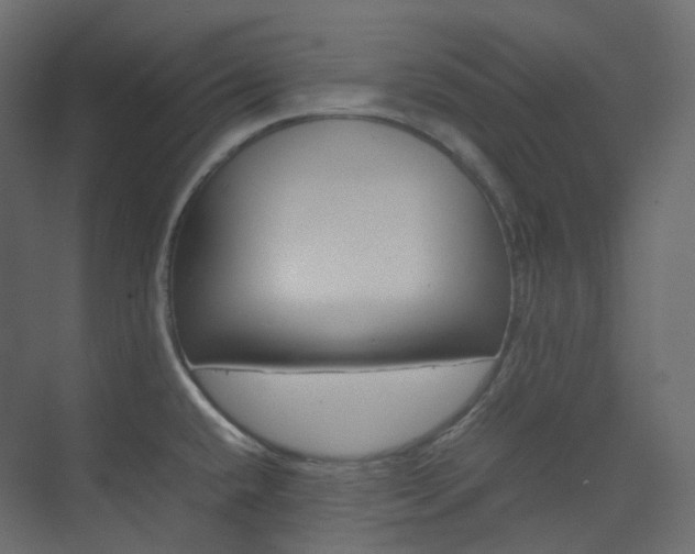 X0000074231432200608250805