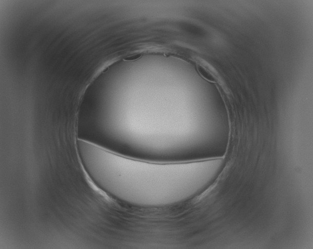 X0000074231433200608250805