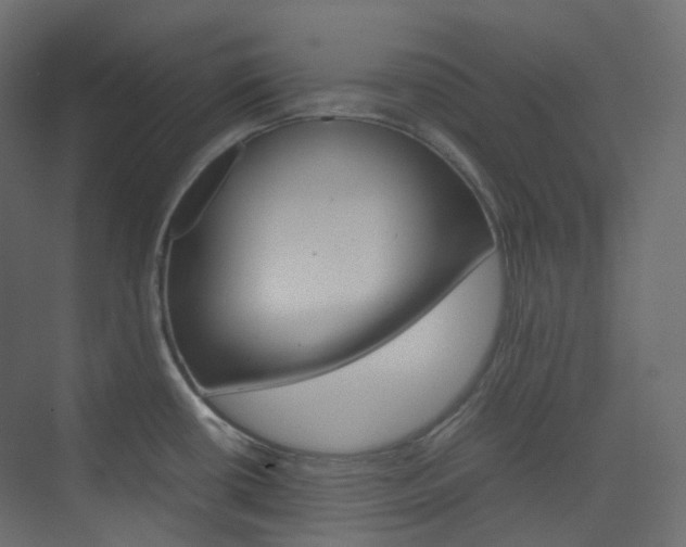 X0000074231434200608250805