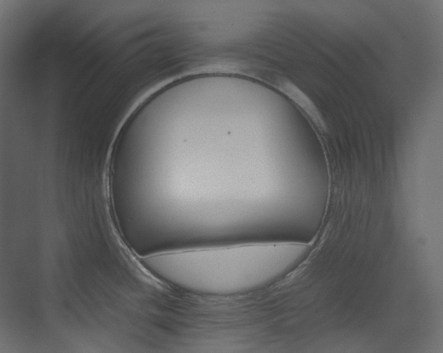 X0000074231436200608250805