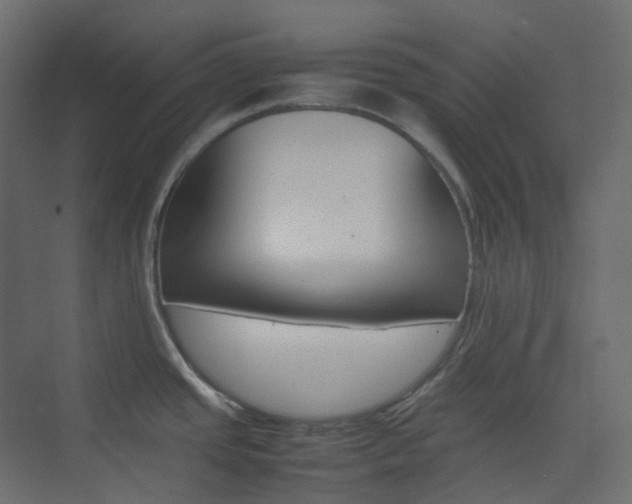 X0000074231437200608250805
