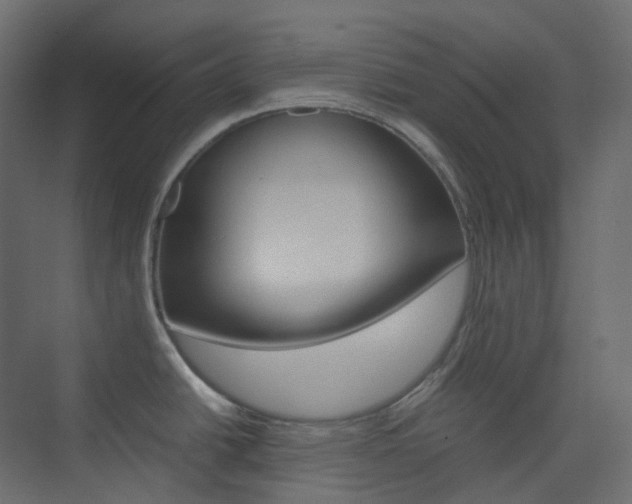 X0000074231438200608250805