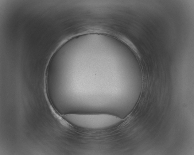 X0000074231439200608250805
