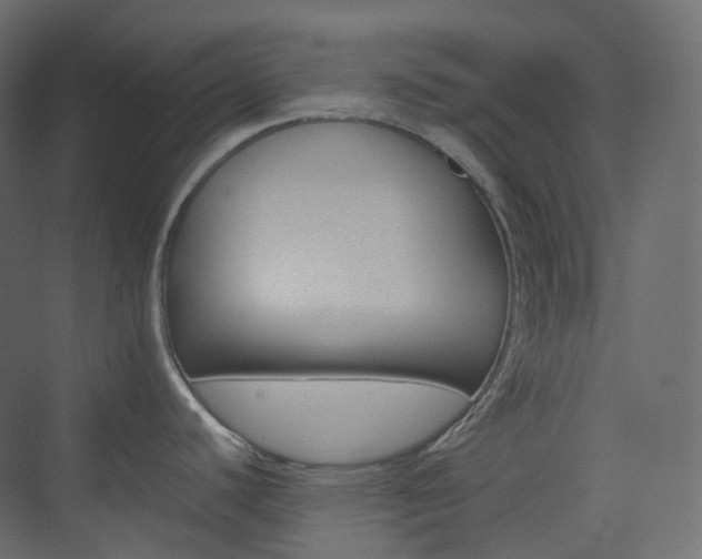 X0000074231440200608250805
