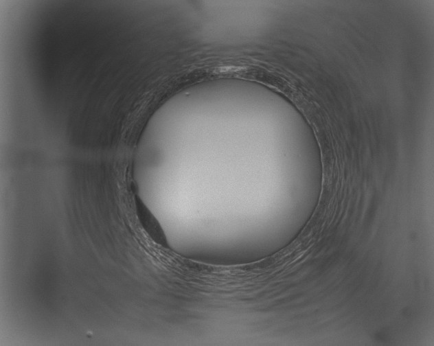 X0000074231441200608250804
