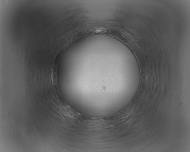 X0000074231442200608250804