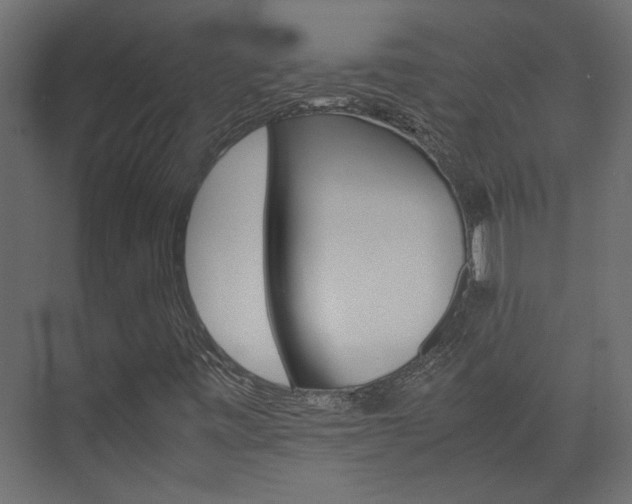 X0000074231443200608250804