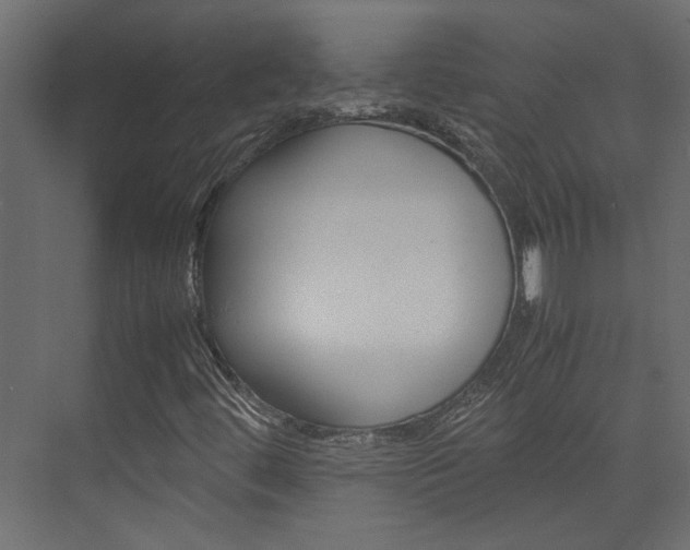 X0000074231444200608250804