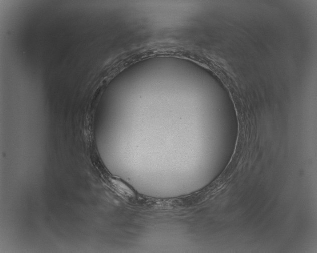 X0000074231445200608250804