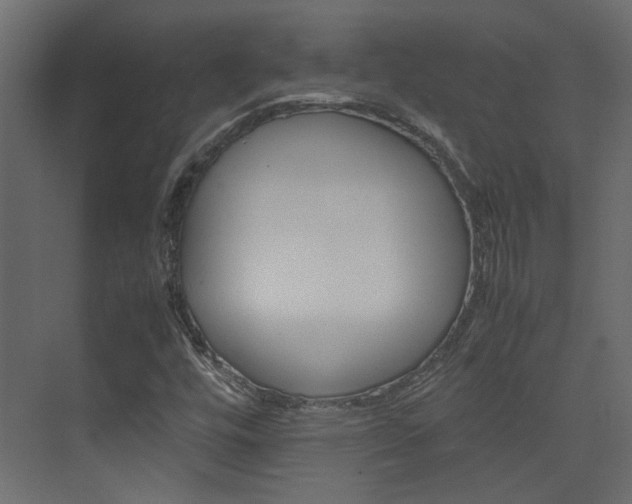 X0000074231448200608250804