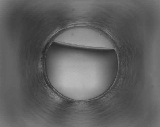 X0000074231450200608250804
