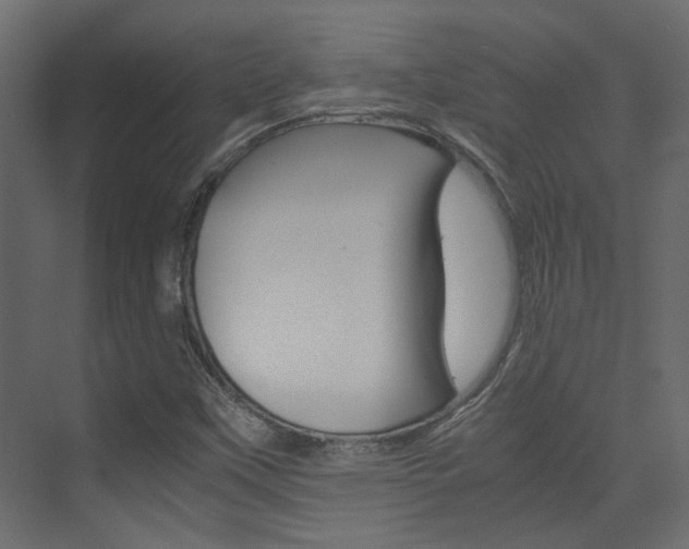 X0000074231451200608250804