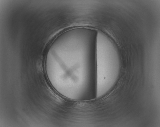 X0000074231452200608250804