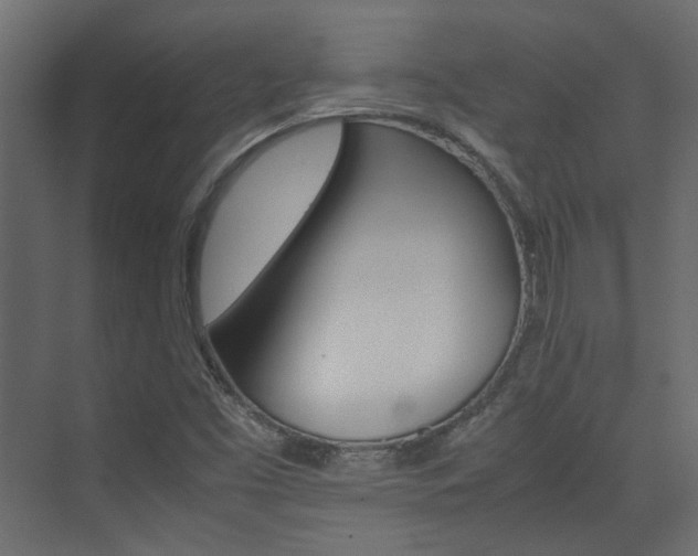 X0000074231453200608250804