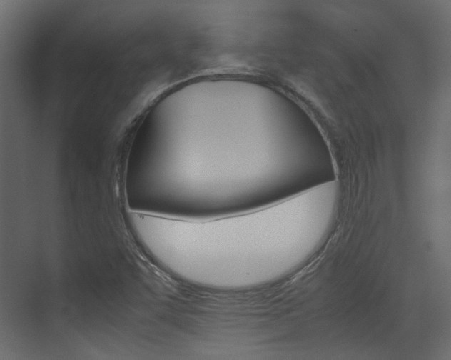 X0000074231455200608250804