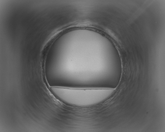 X0000074231456200608250804