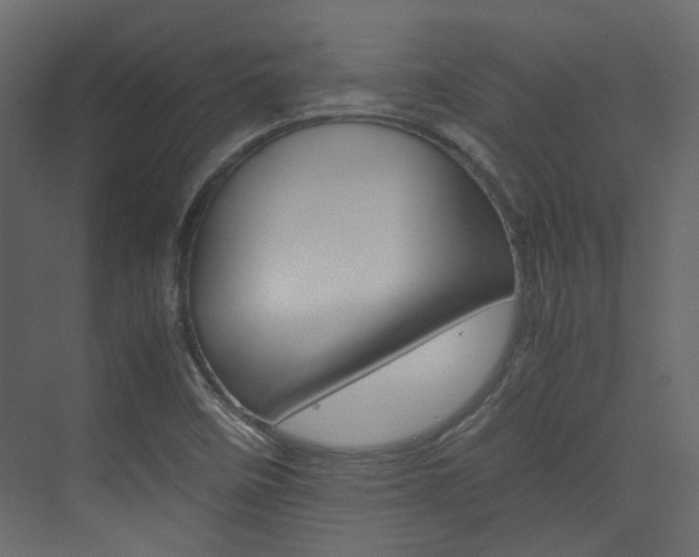 X0000074231458200608250804