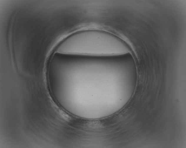 X0000074231464200608250804