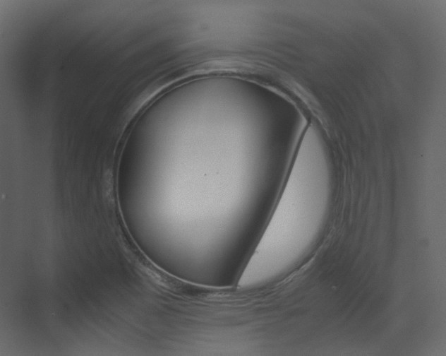 X0000074231465200608250804