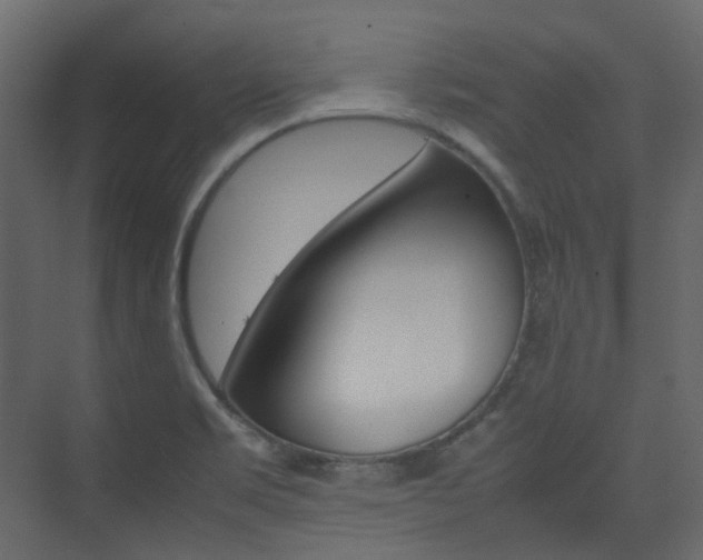 X0000074231469200608250804
