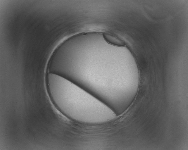X0000074231471200608250803