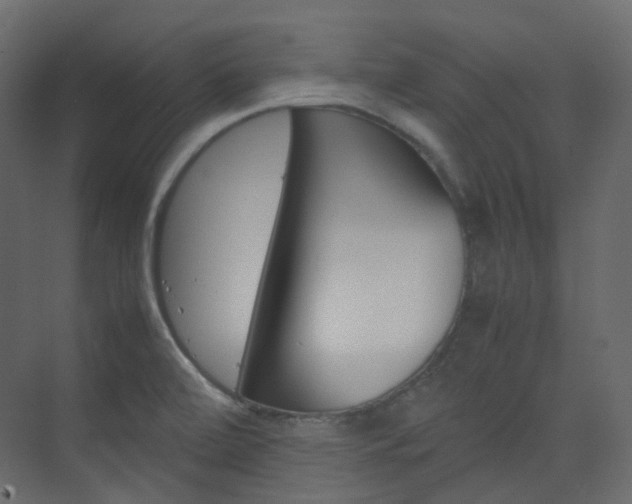 X0000074231472200608250803
