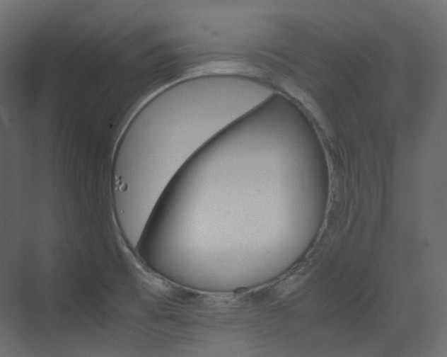 X0000074231473200608250803