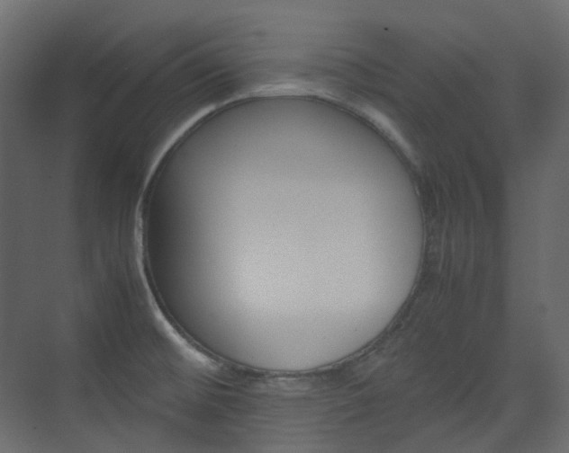 X0000074231476200608250803