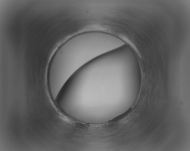X0000074231477200608250803