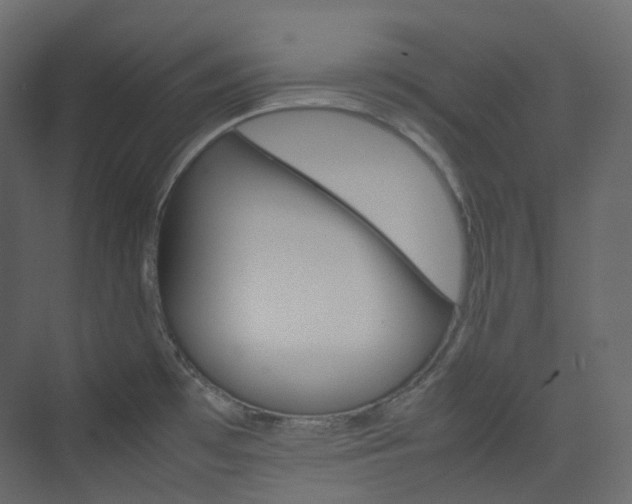 X0000074231481200608250803