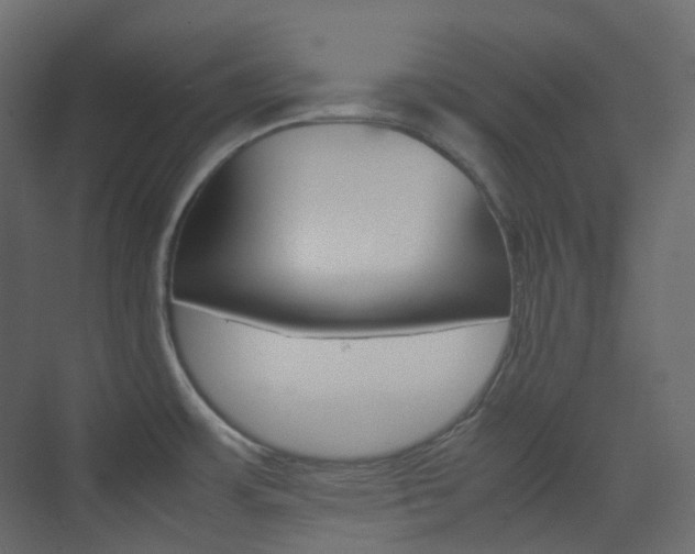 X0000074231483200608250803