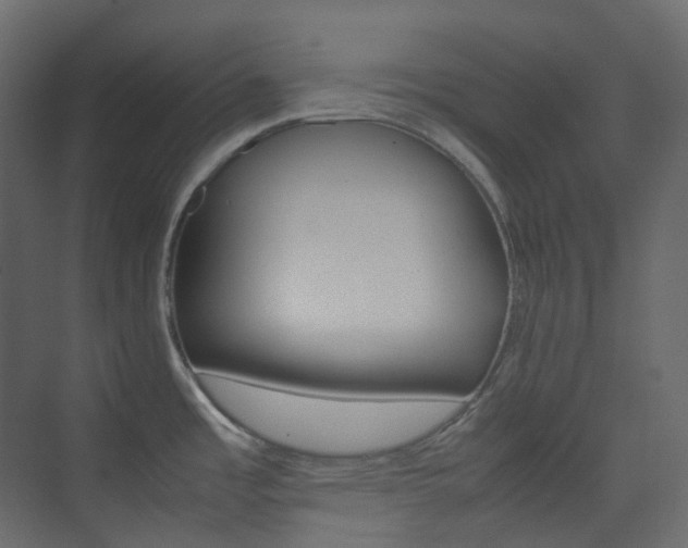 X0000074231485200608250803