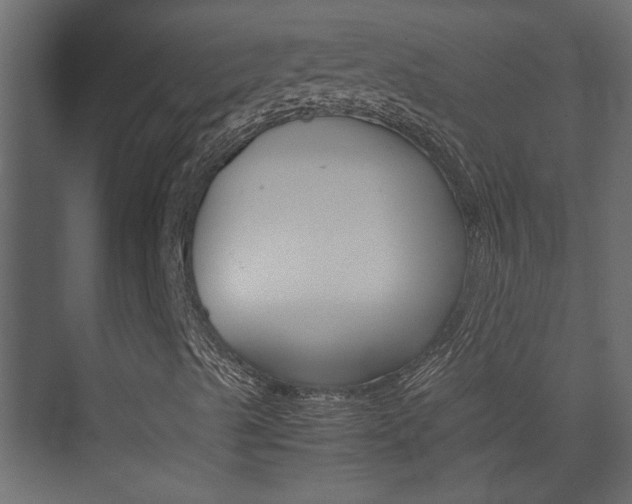 X0000074231489200608250802