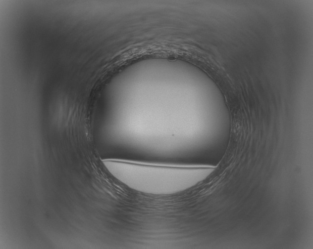 X0000074231490200608250802