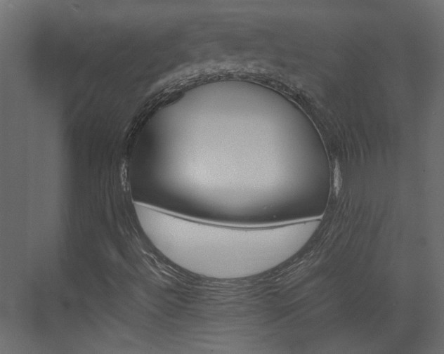 X0000074231492200608250802